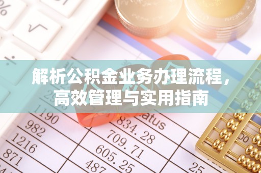 舟山解析公积金业务办理流程，高效管理与实用指南