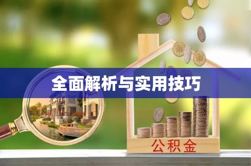 舟山全面解析与实用技巧
